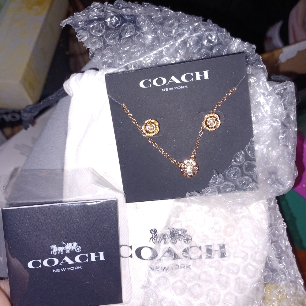 Coach necklace earrings set